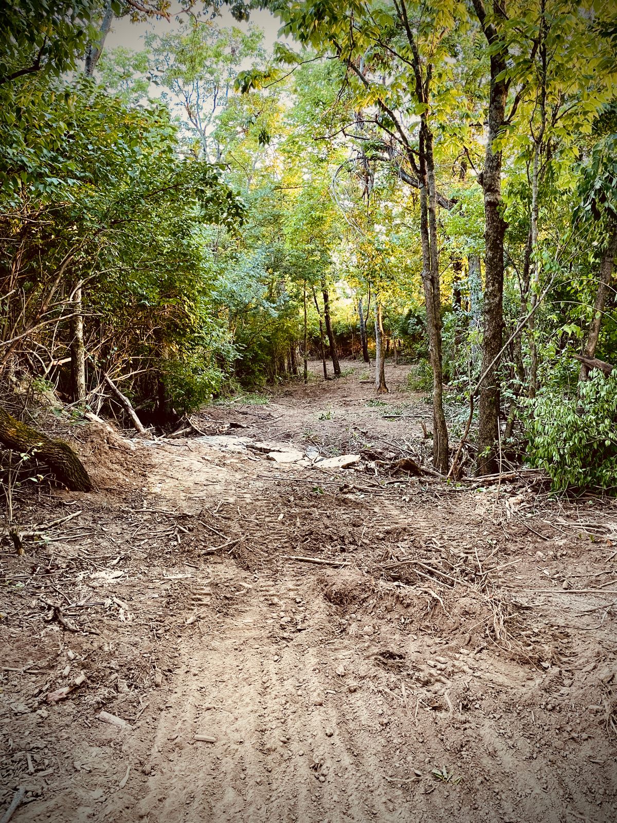 Hole 5 on the expansion layout