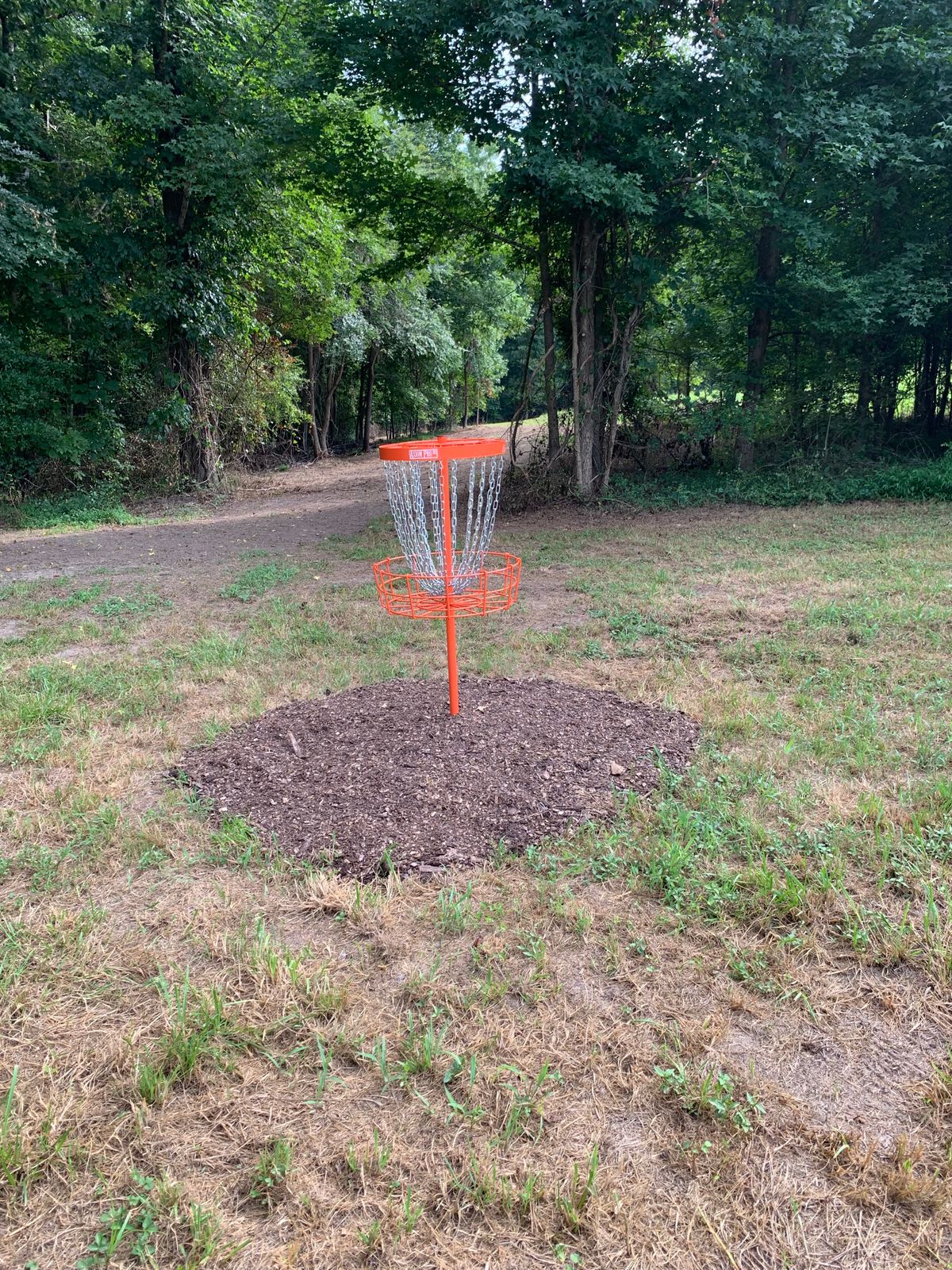 Hole 7 Basket. 