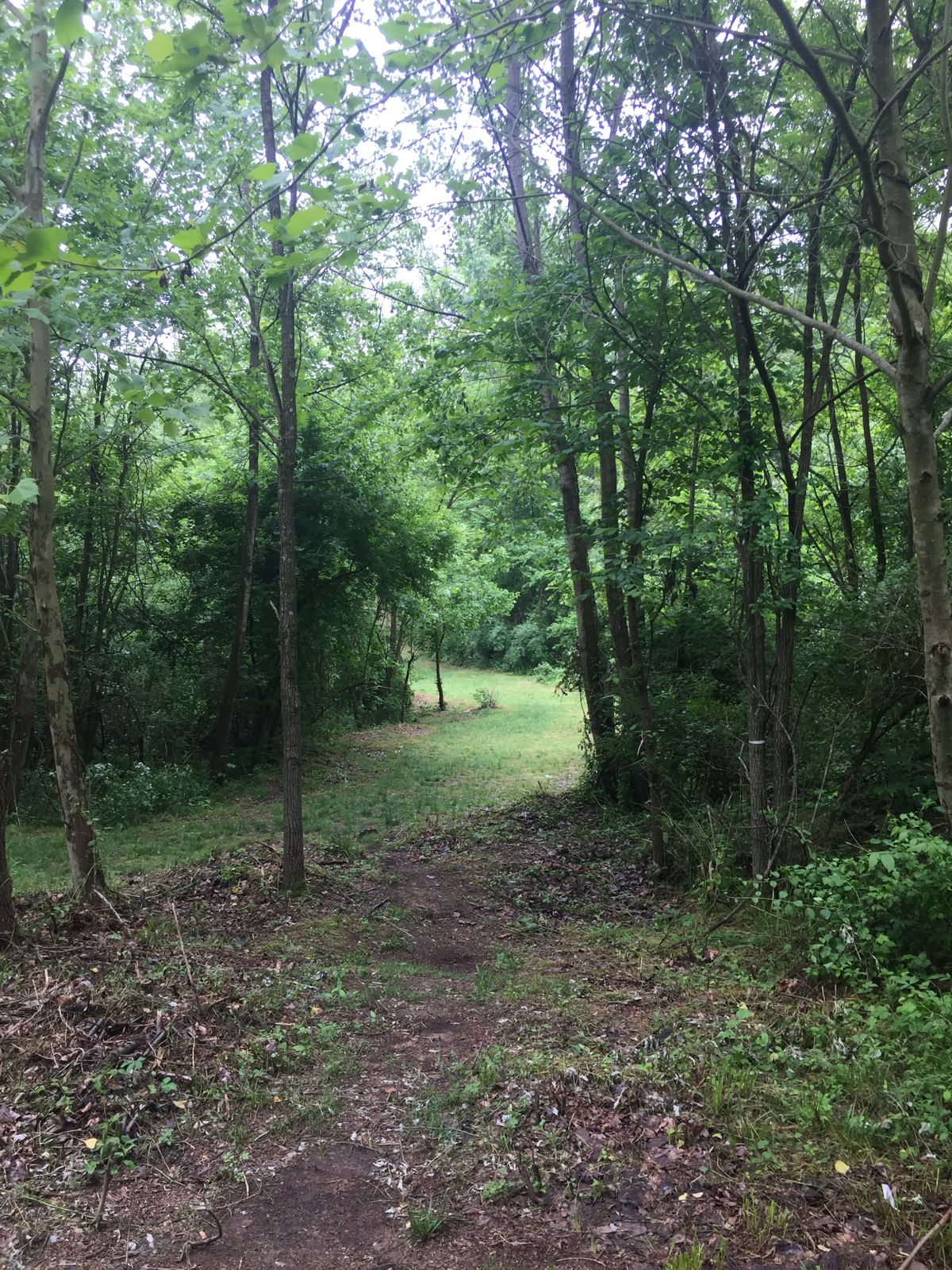 Hole 4 tee