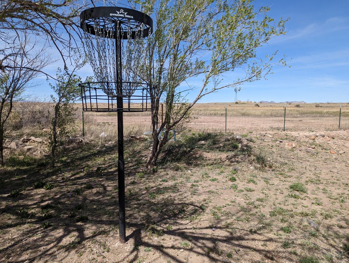 Elevated basket at hole #3.