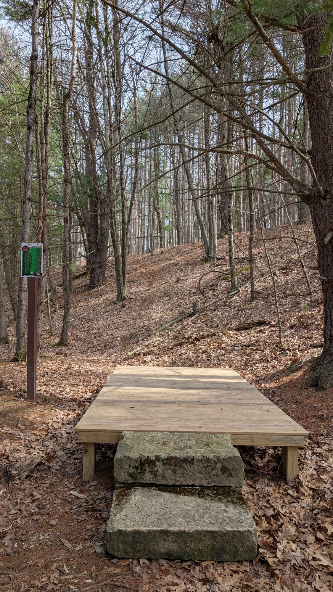 Hole 15
