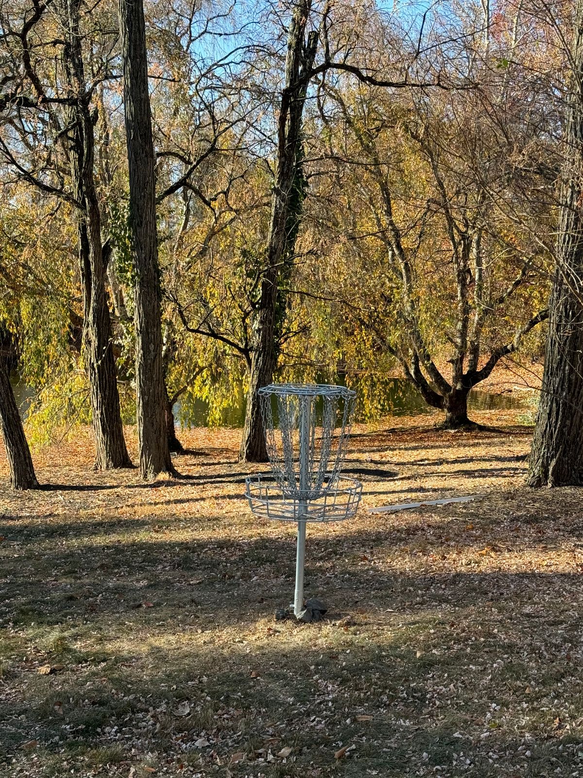Hole 1 Basket