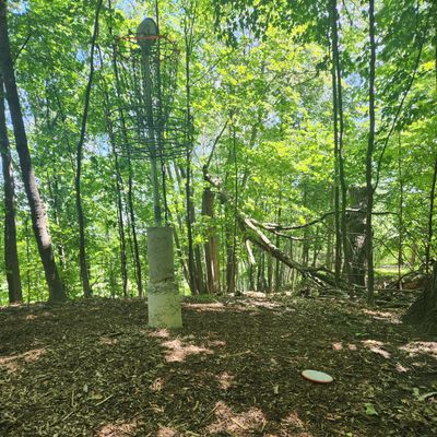 Hole 4 elevated tee
