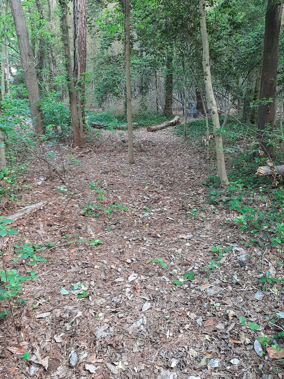 Hole 8 White Tee