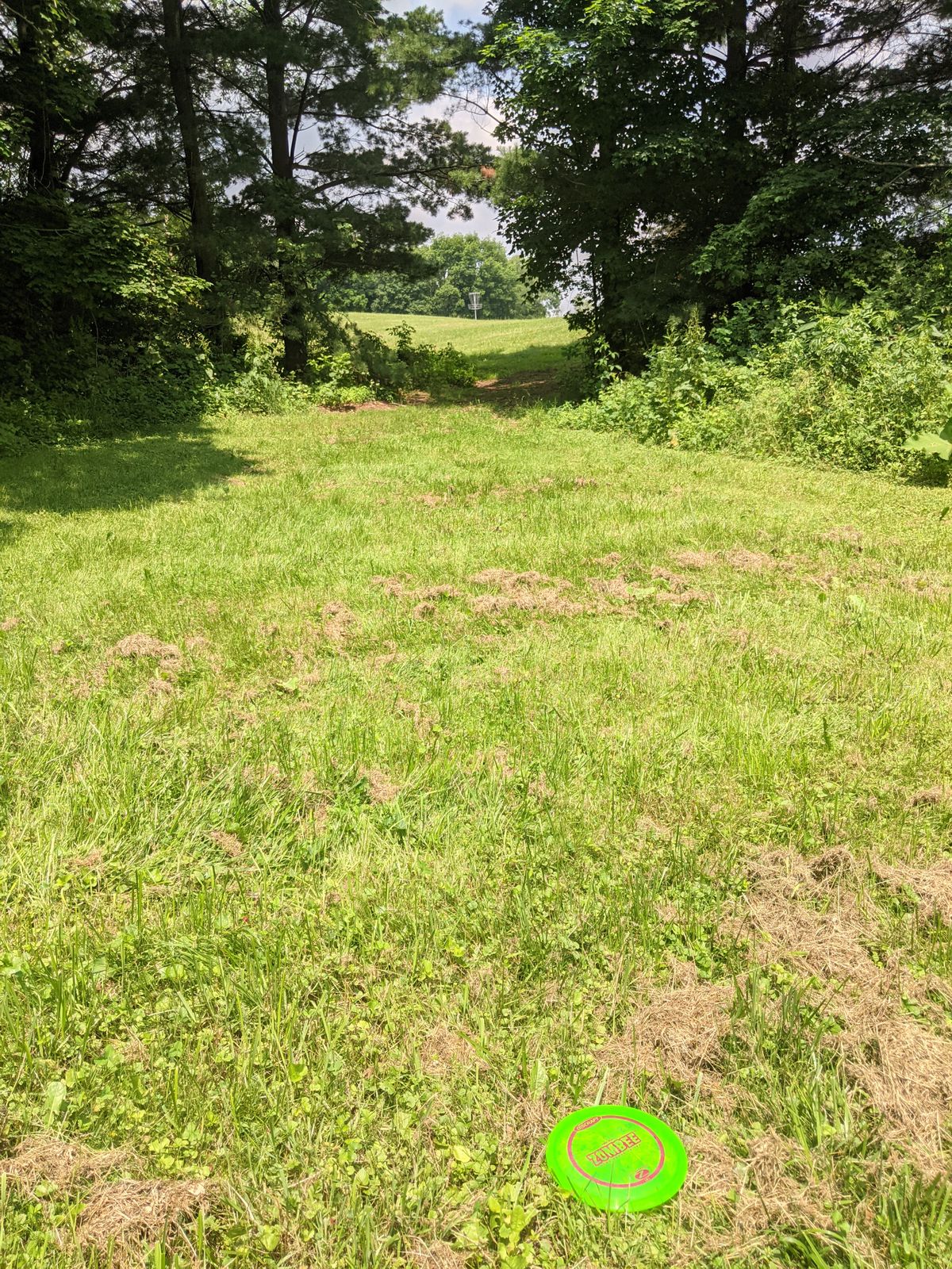Approaching the chains on Hole 7. Poison ivy is lurking in the shadows. By far the tightest run of the course.