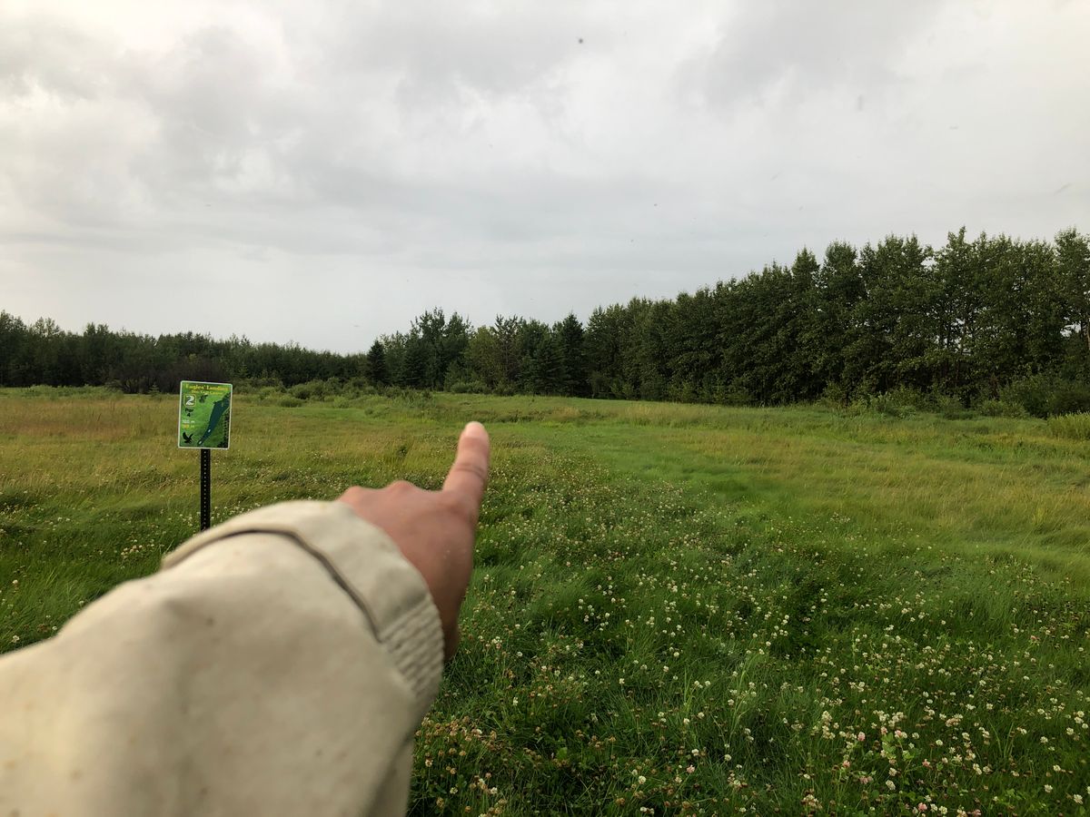 Hole 2