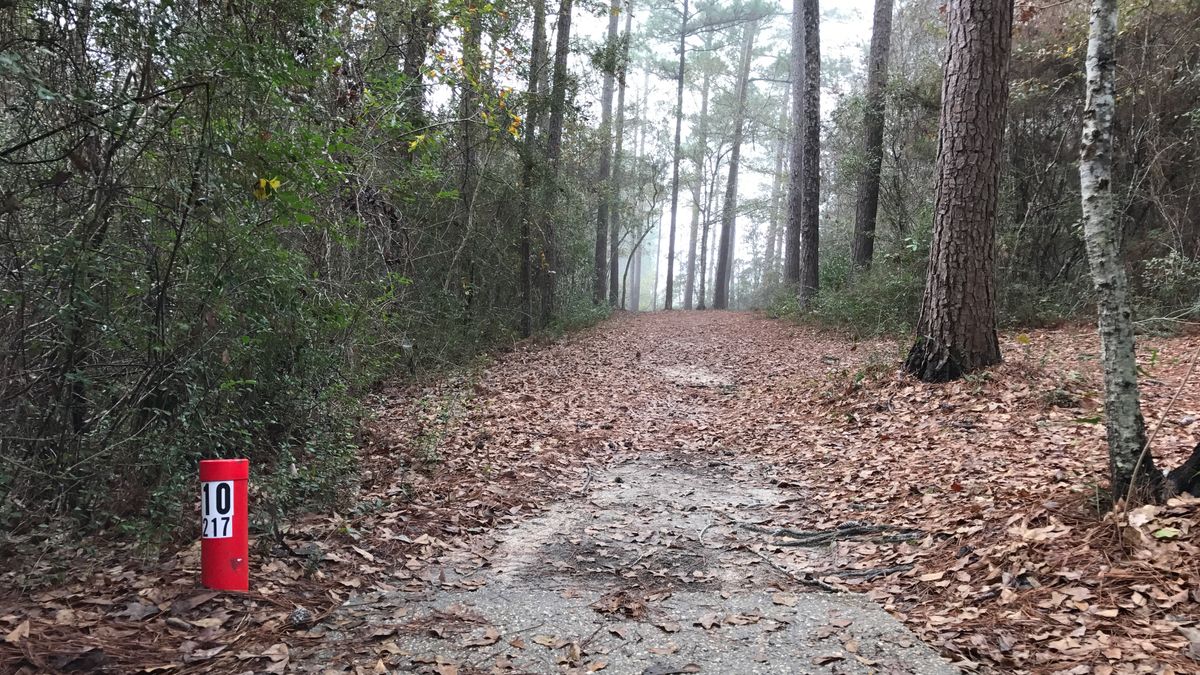Hole 10