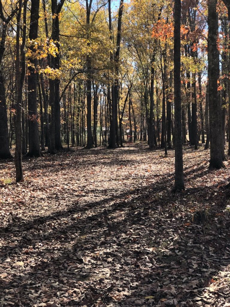 Hole 4