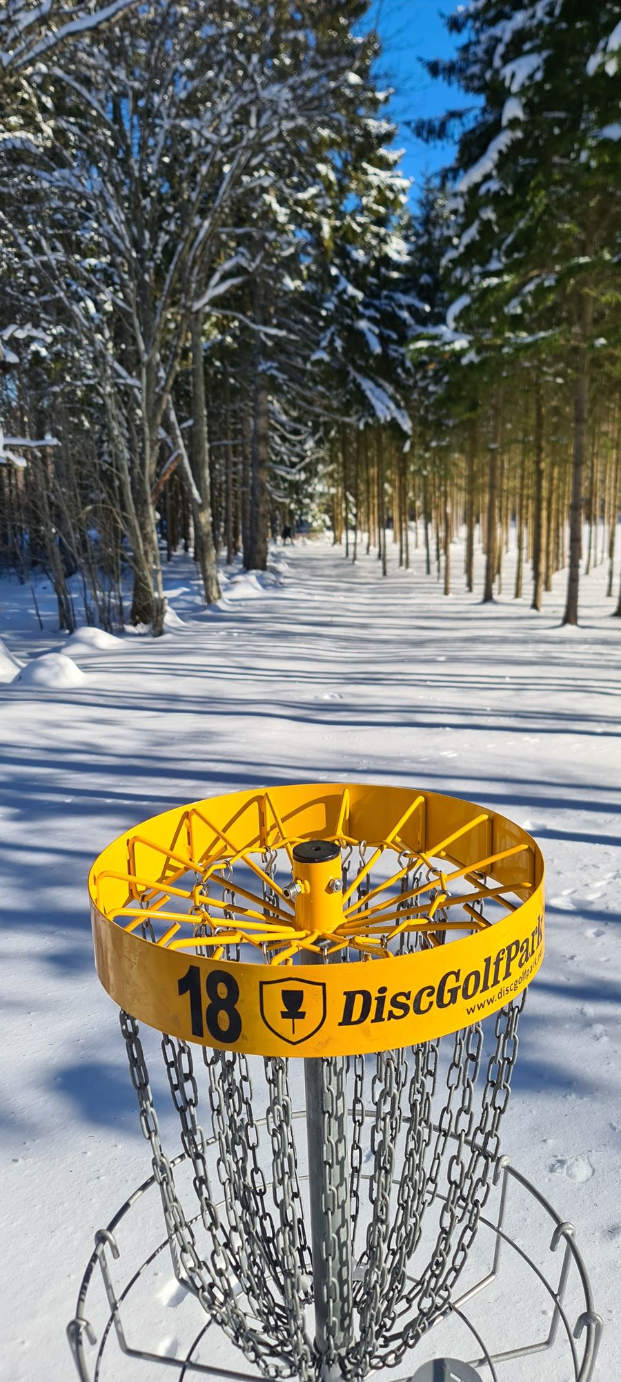 Väldigt vackert just idag, men ta fram skidorna istället, Alla tees är skottade så att det blir bra så fort plusgraderna kommer tillbaka