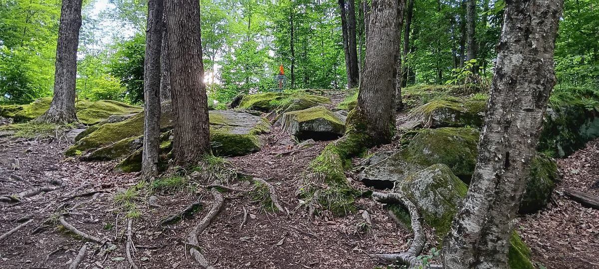 Hole 11 Fairway