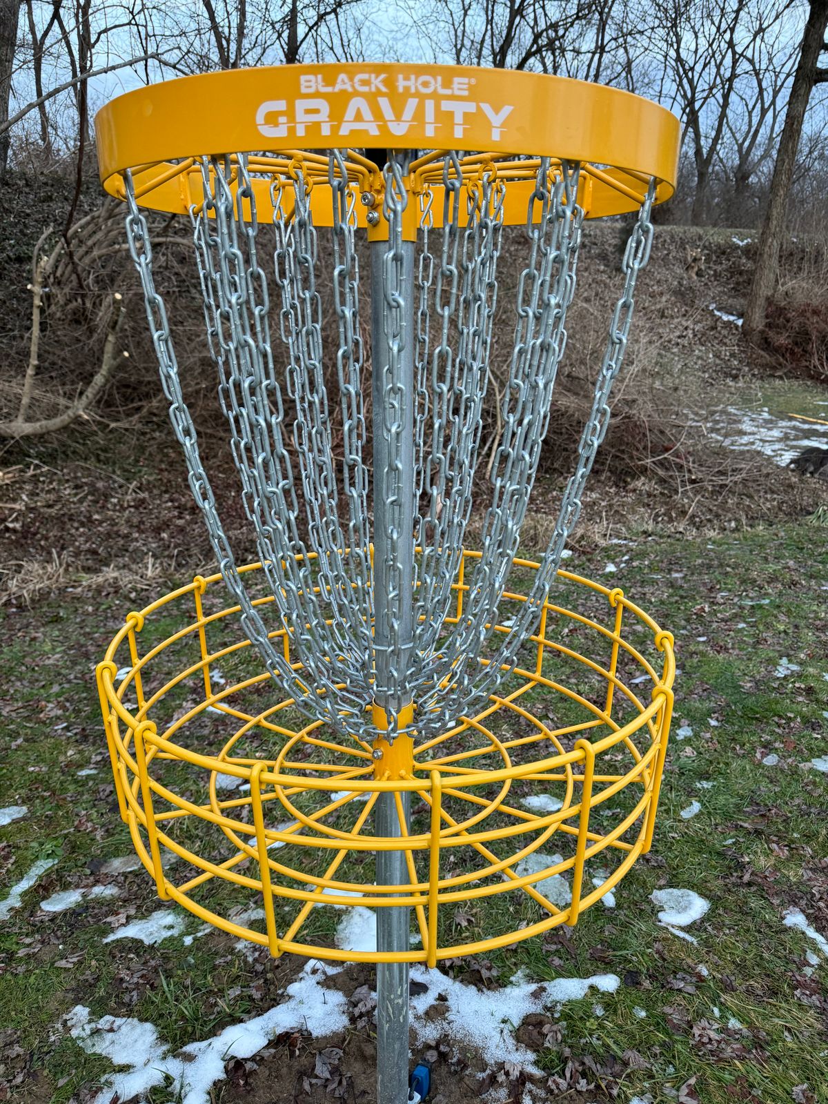 Target Type:
 https://mvpdiscsports.com/products/baskets/black-hole-gravity/