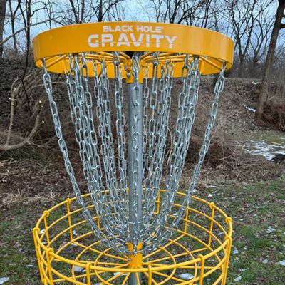 Target Type:
 https://mvpdiscsports.com/products/baskets/black-hole-gravity/