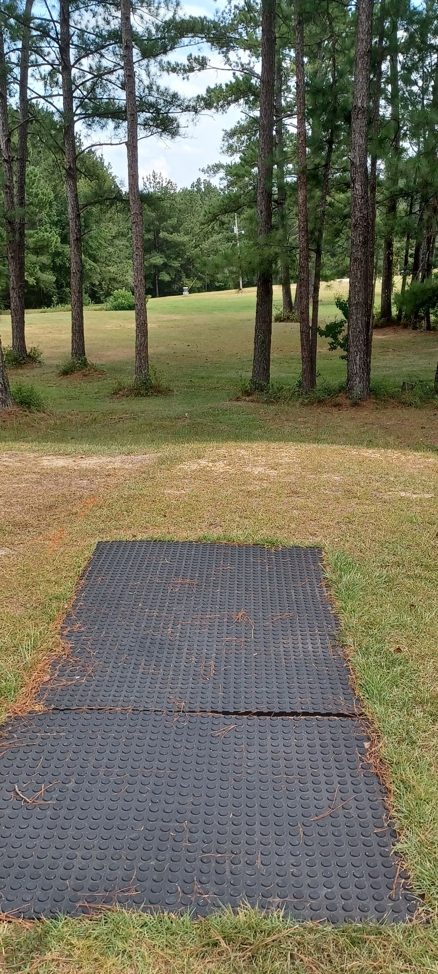 Hole 4