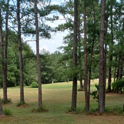 Hole 4