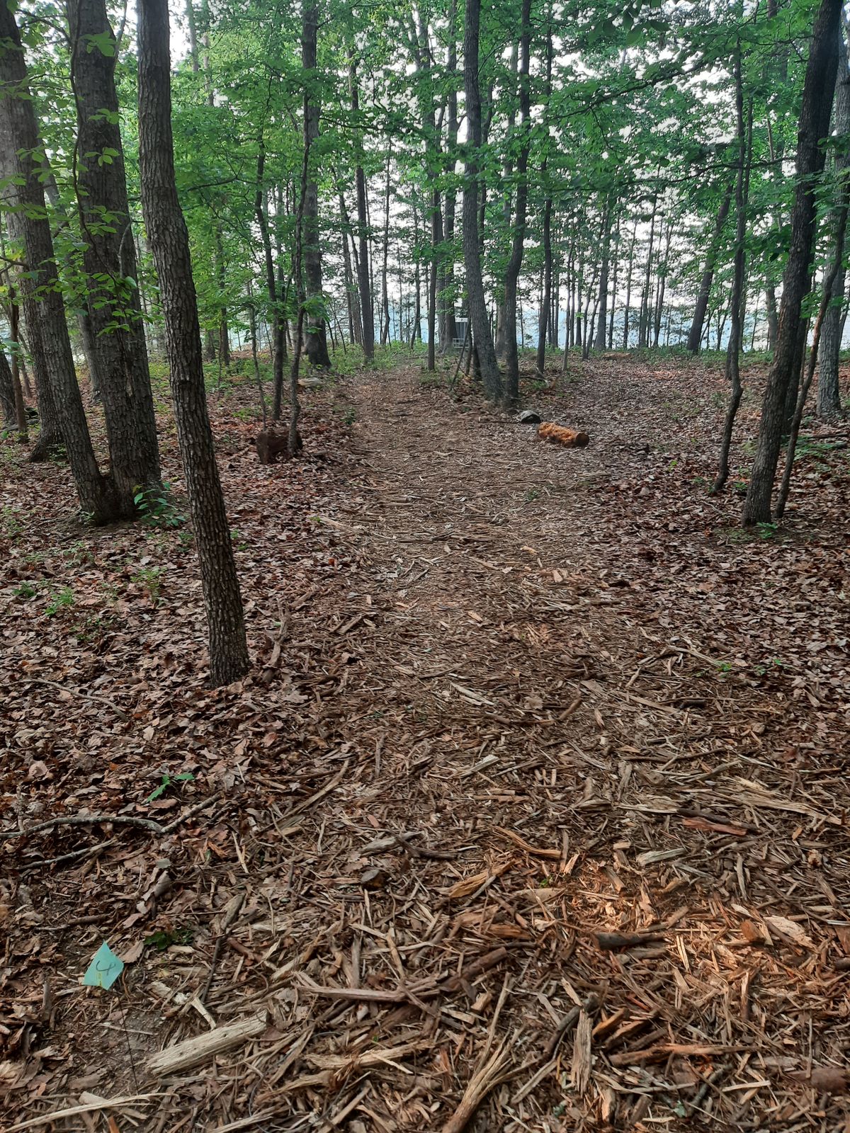 Hole 2 Tee