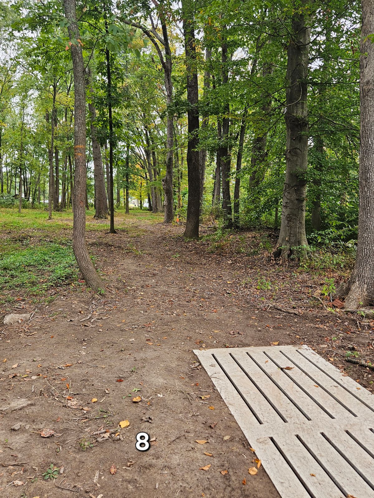 Hole 8