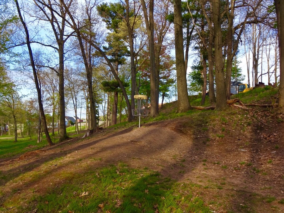 Hole 5 A/B basket from the back