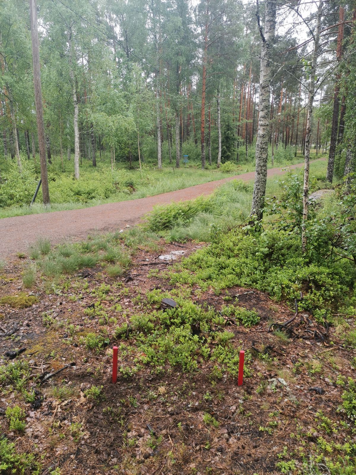 17. väylän droppari.