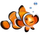 kfish89