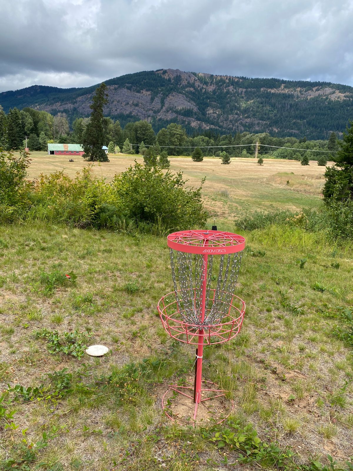 #16 basket looking into the valley