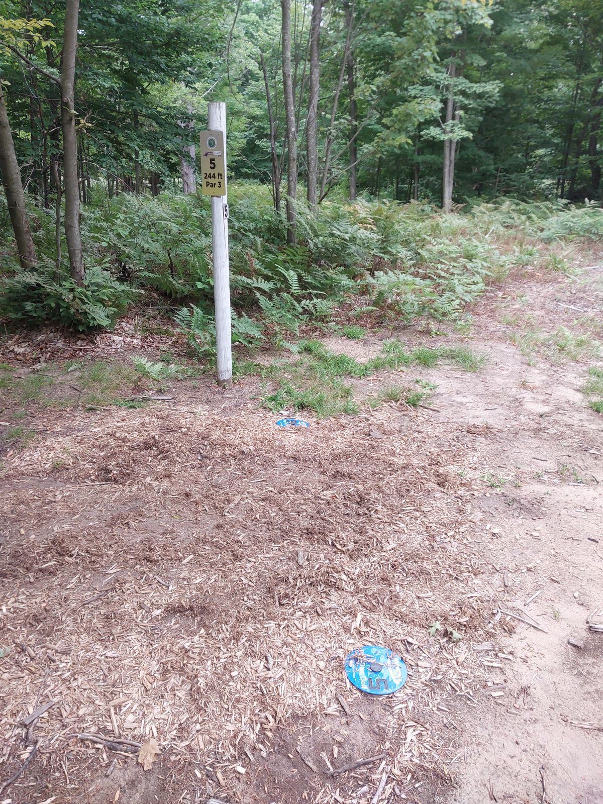 Tee areas are not so great, plus location and direction they face most are in bad locations