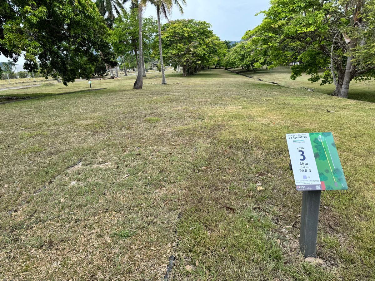 Hole 3 tee
