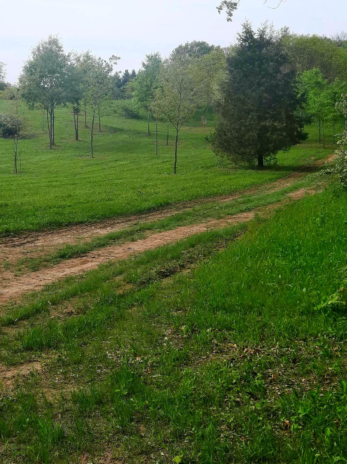 Hole 17