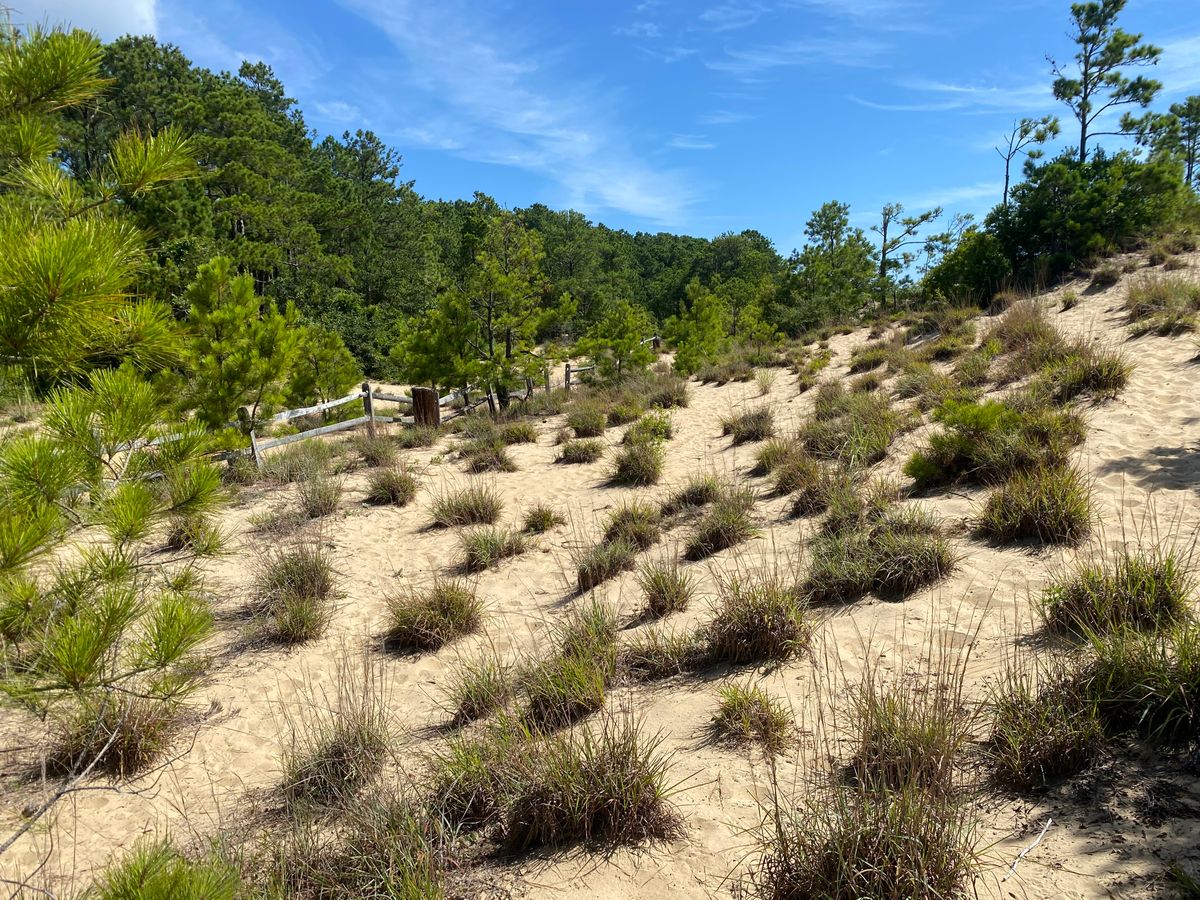 Beautiful Hole 16 approach