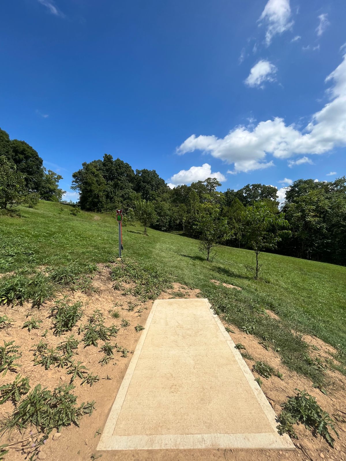 Hole 5 red tee