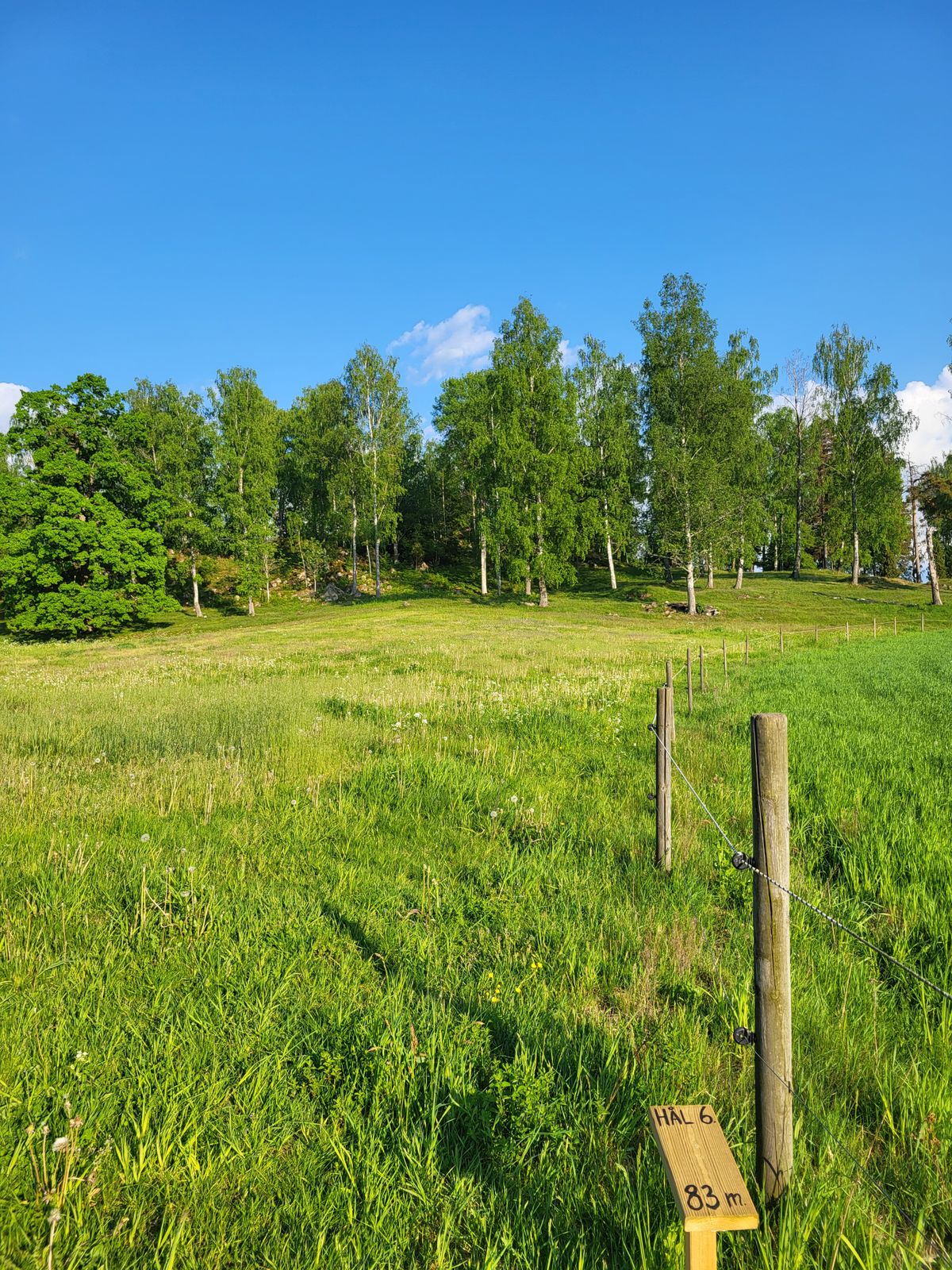 Hål 6