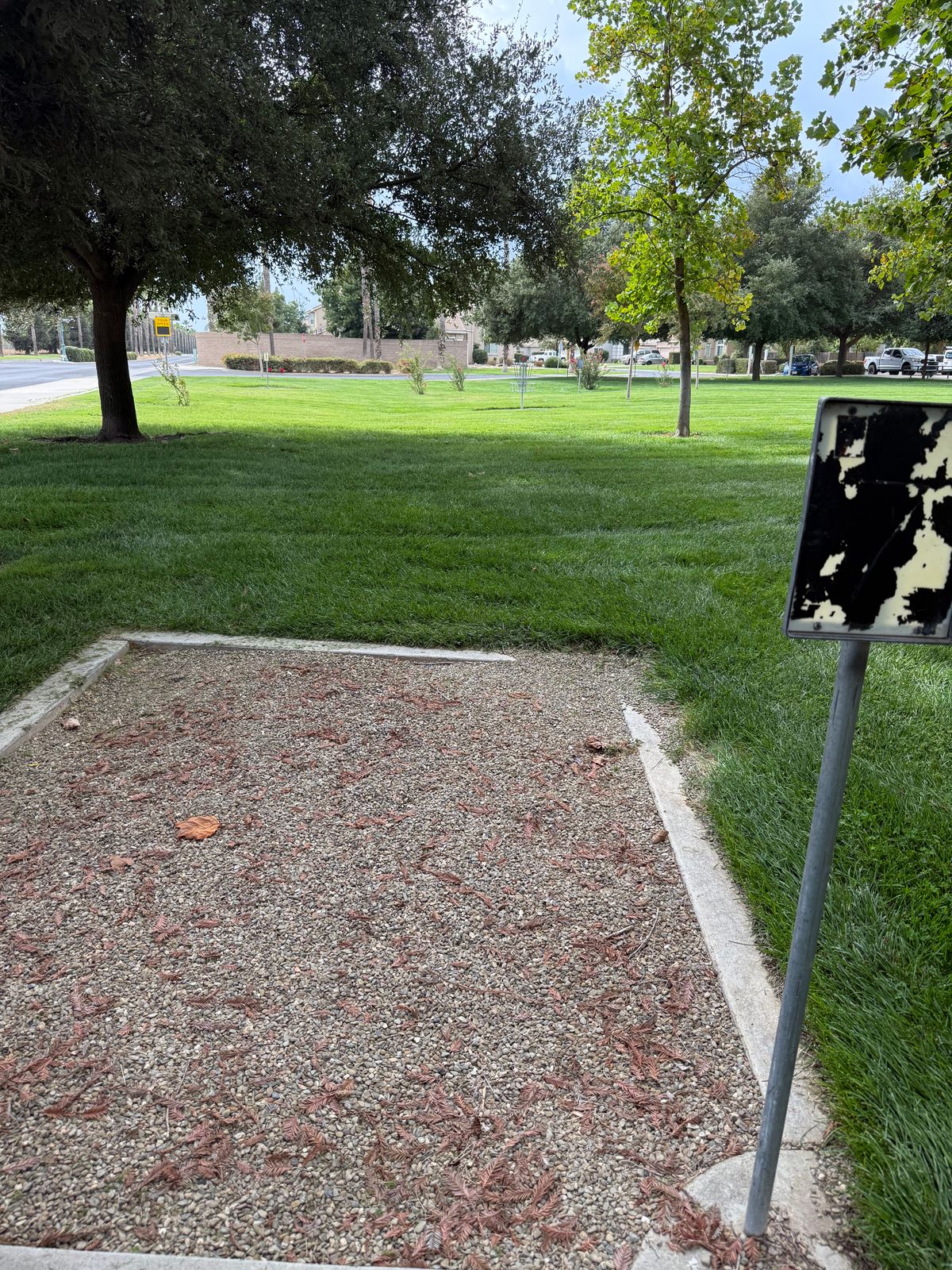 Hole 7 tee pad
