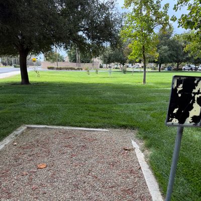 Hole 7 tee pad