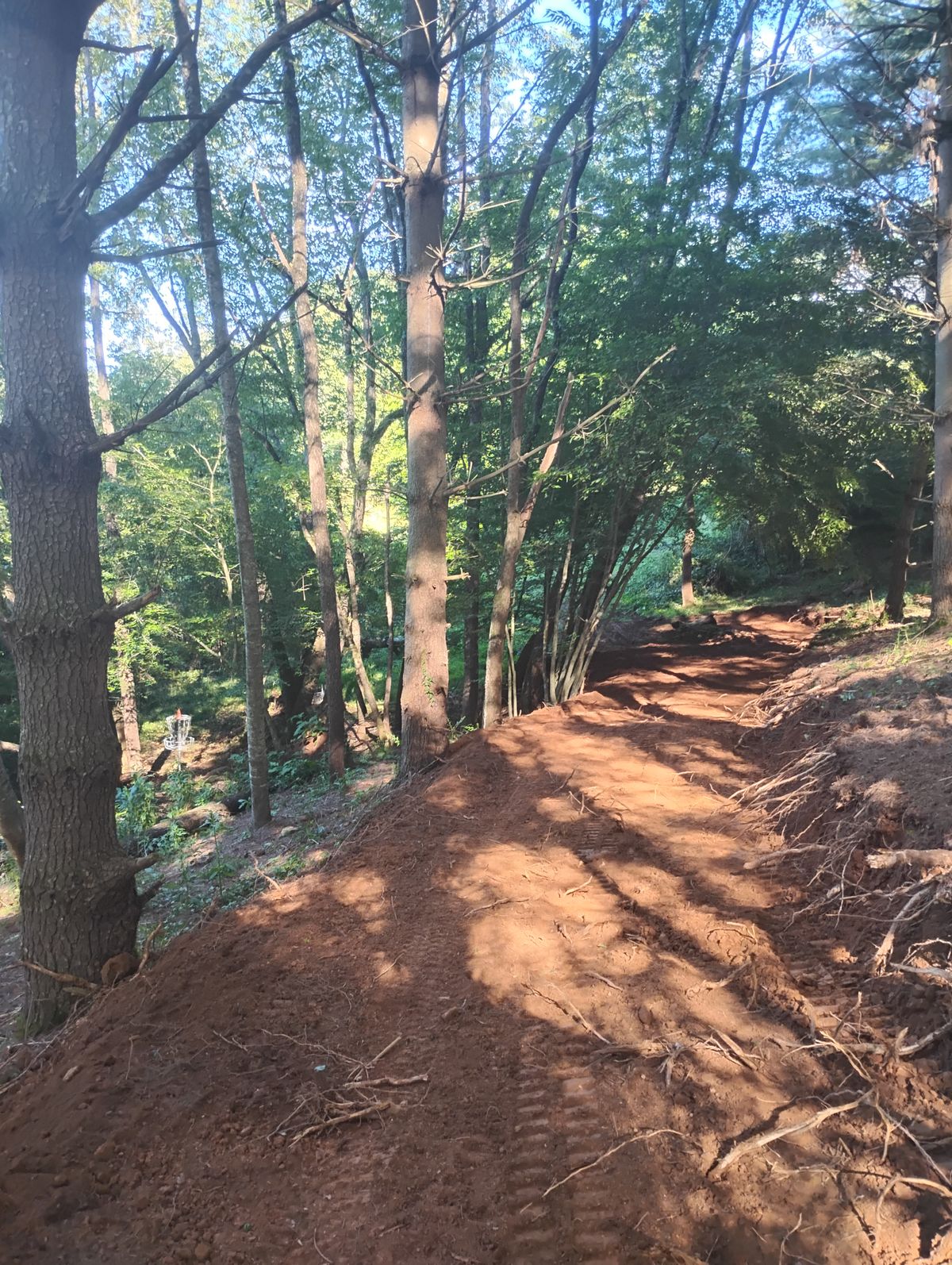 Updated fairway and green on Log Love hole 2