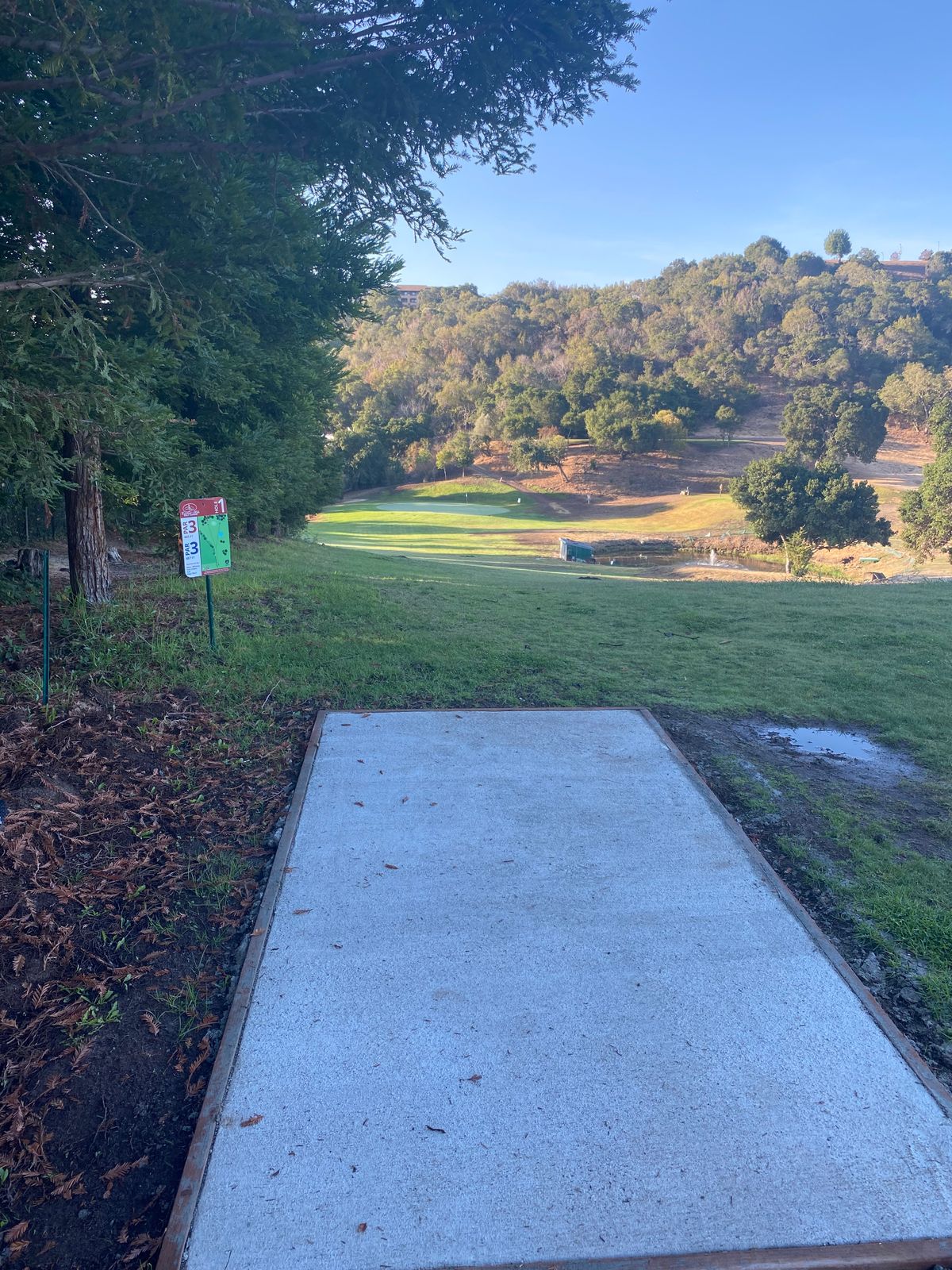 Short tee for hole 1
