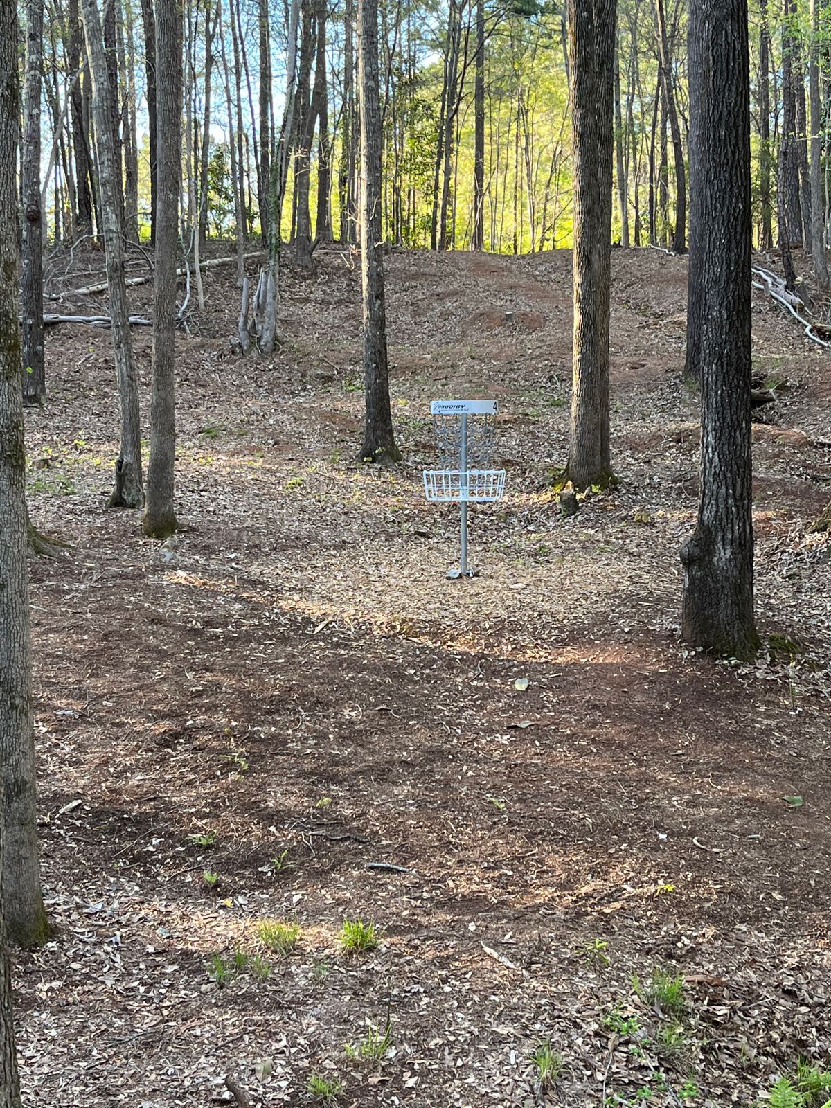 Hole 4 basket