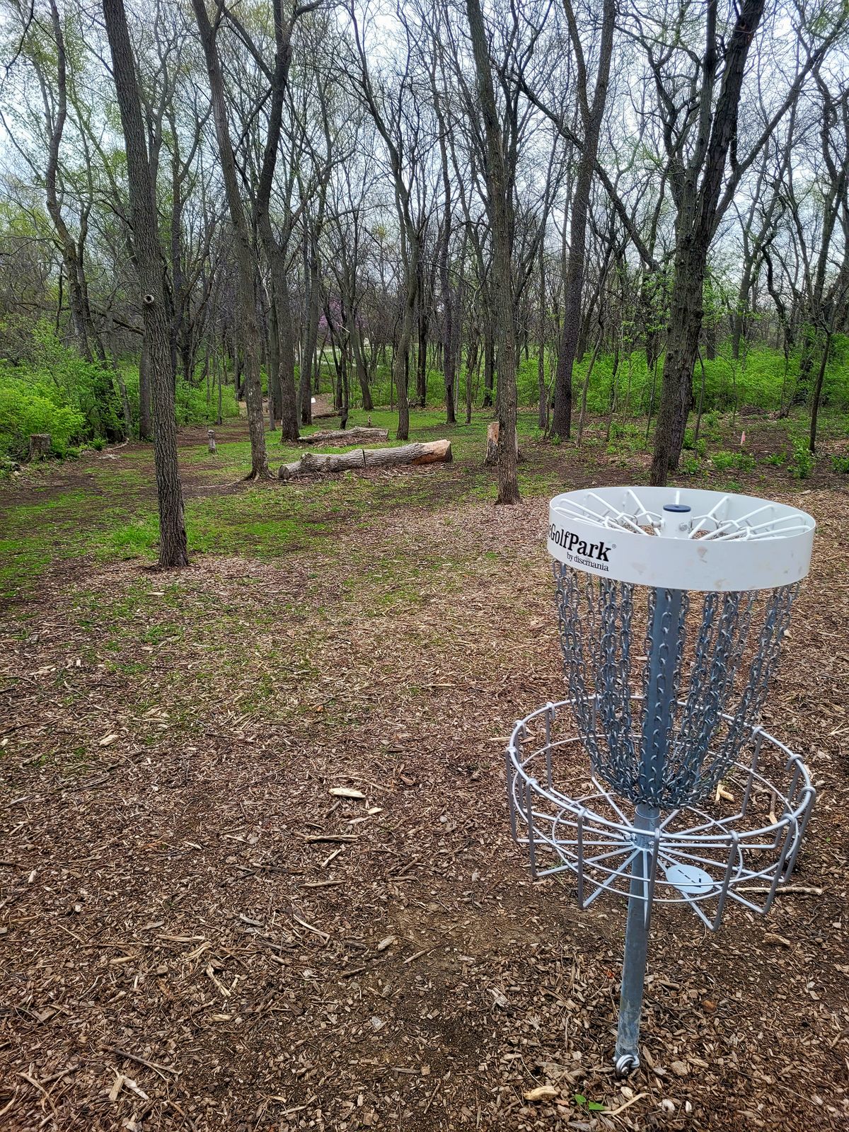 Hole 4 Basket to Fairway
