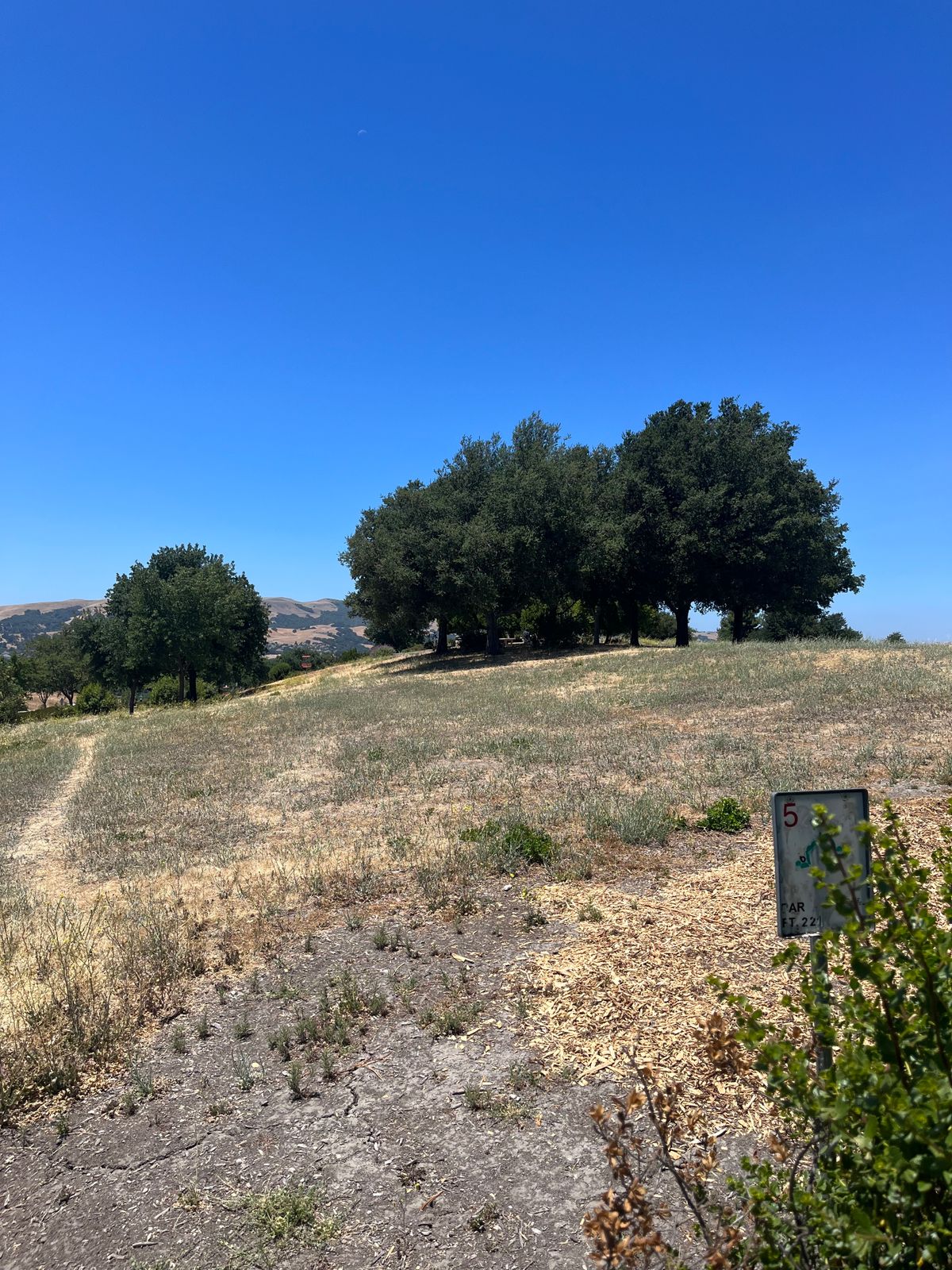 Hole 5 (June 25)