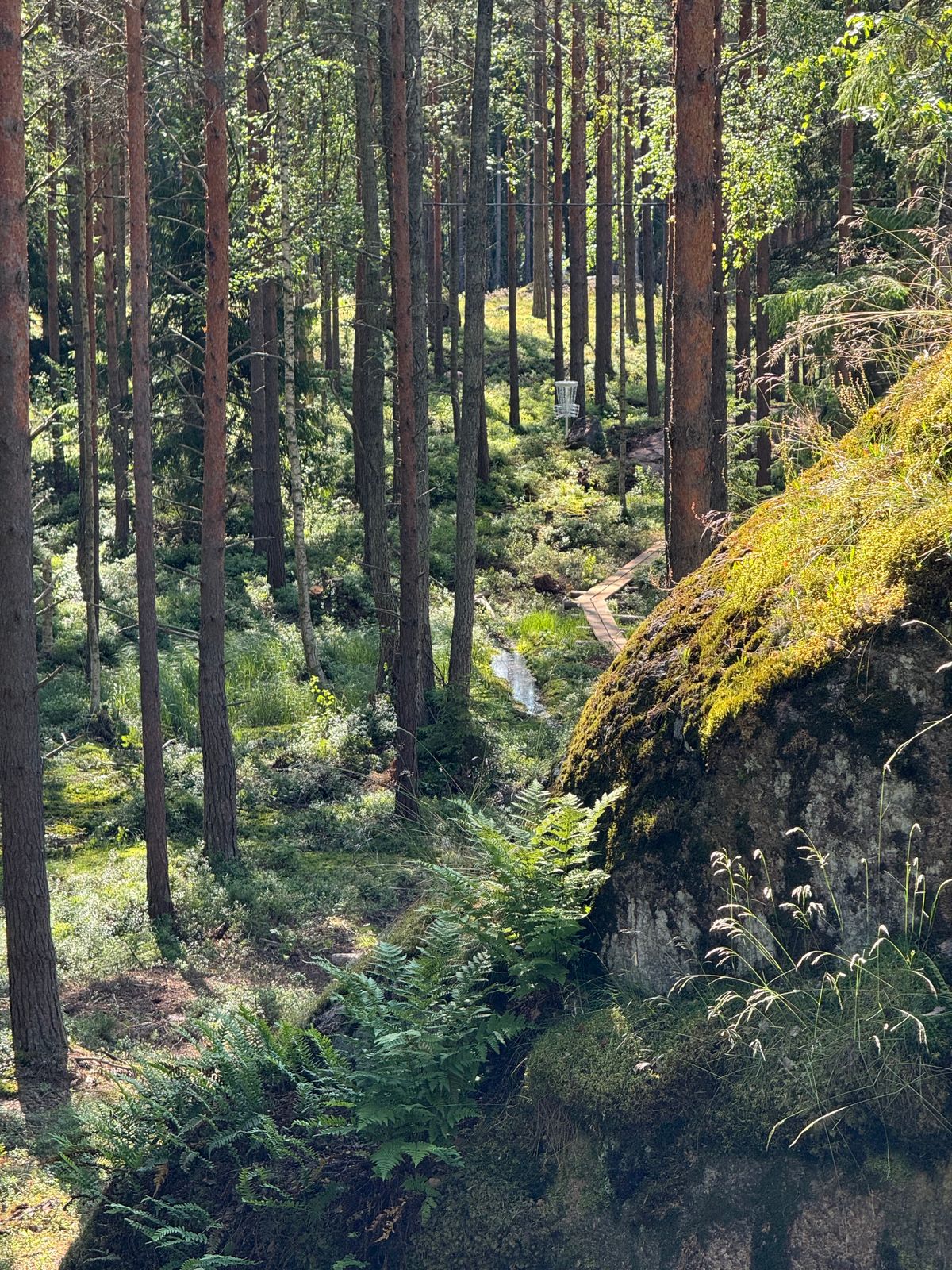 Suo sweet spotissa väylällä 10