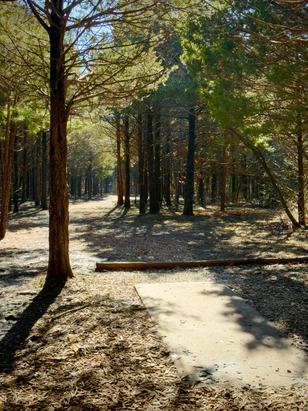 Hole 3