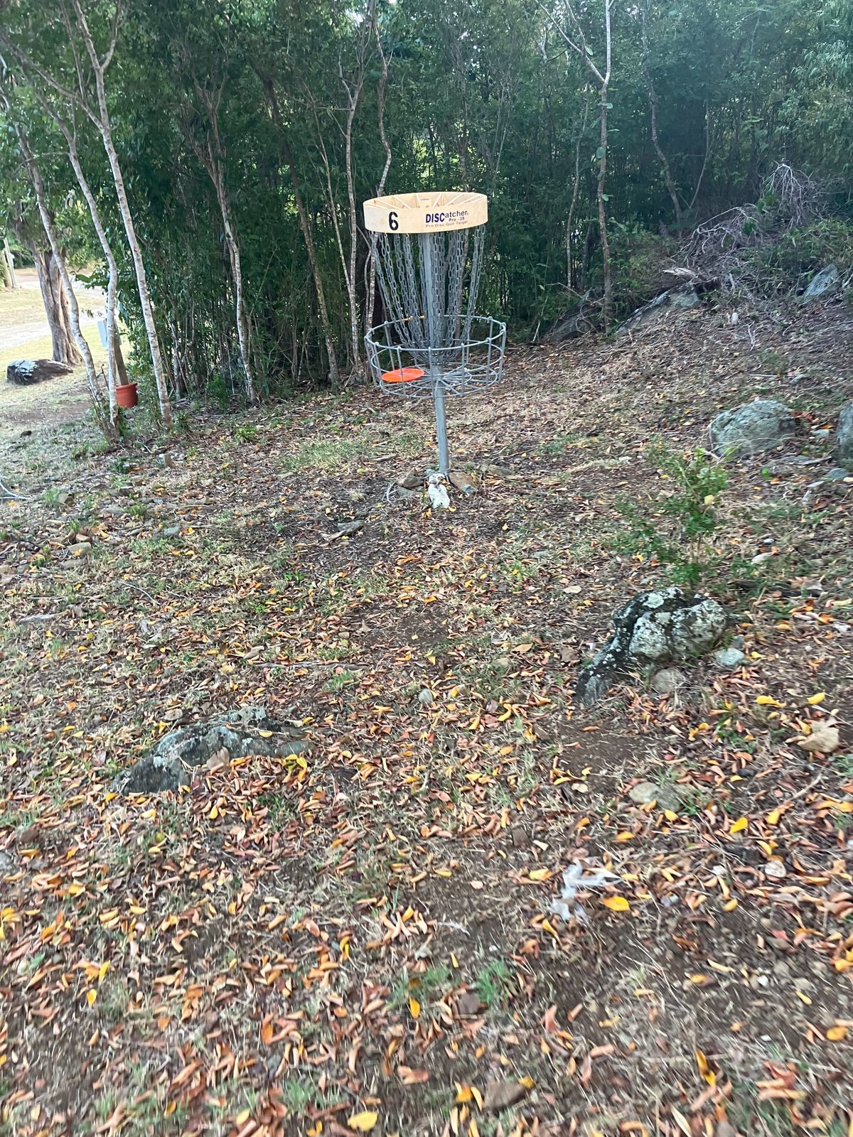 Hole in 1 hole 6