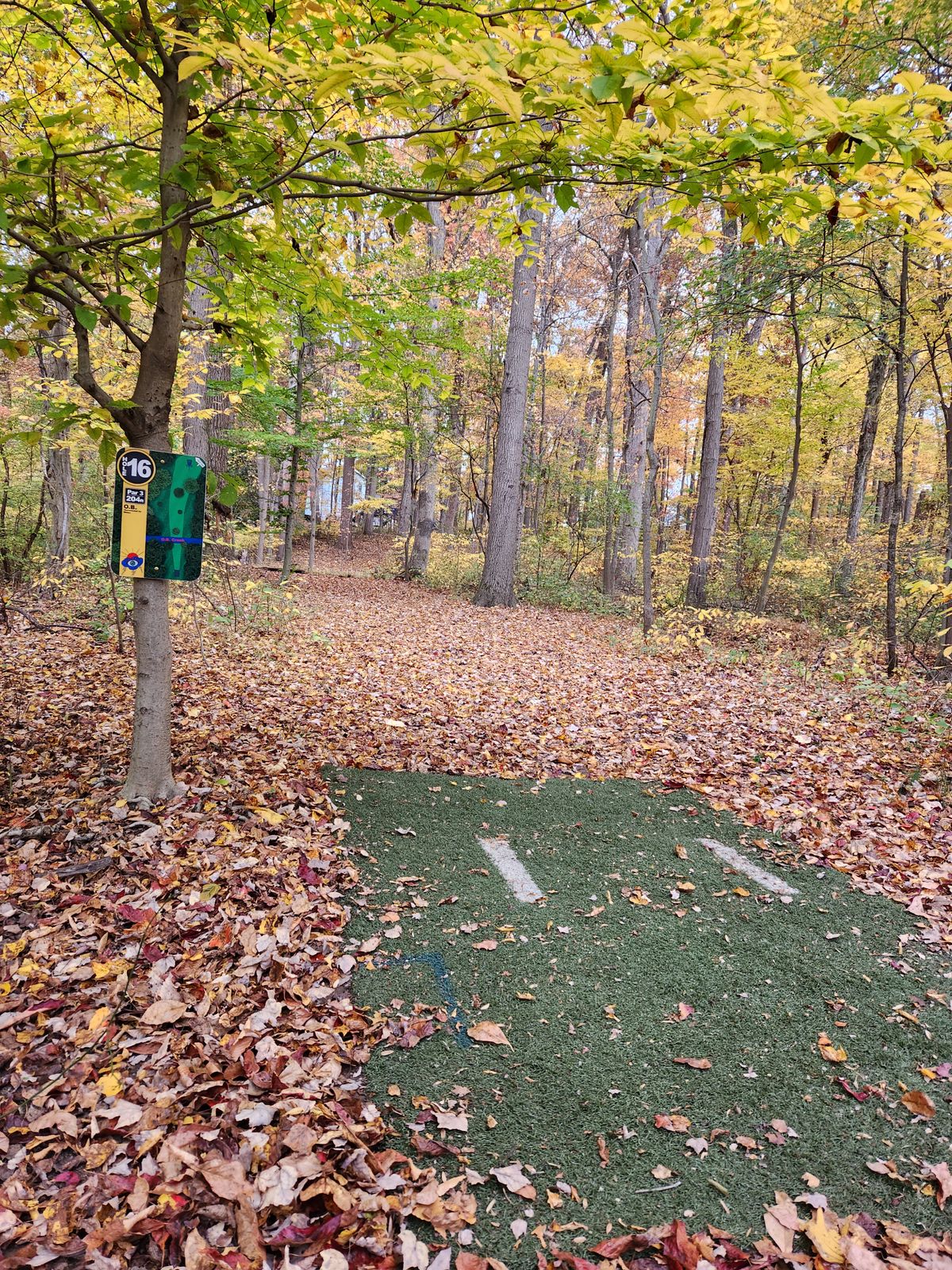Hole 16 tee pad