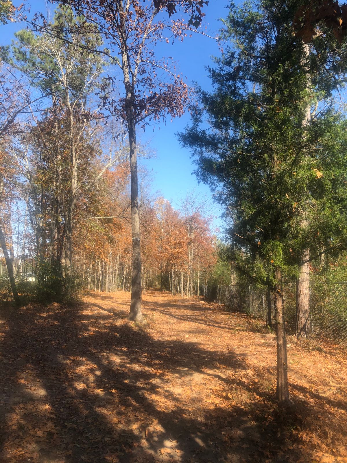 Hole 4