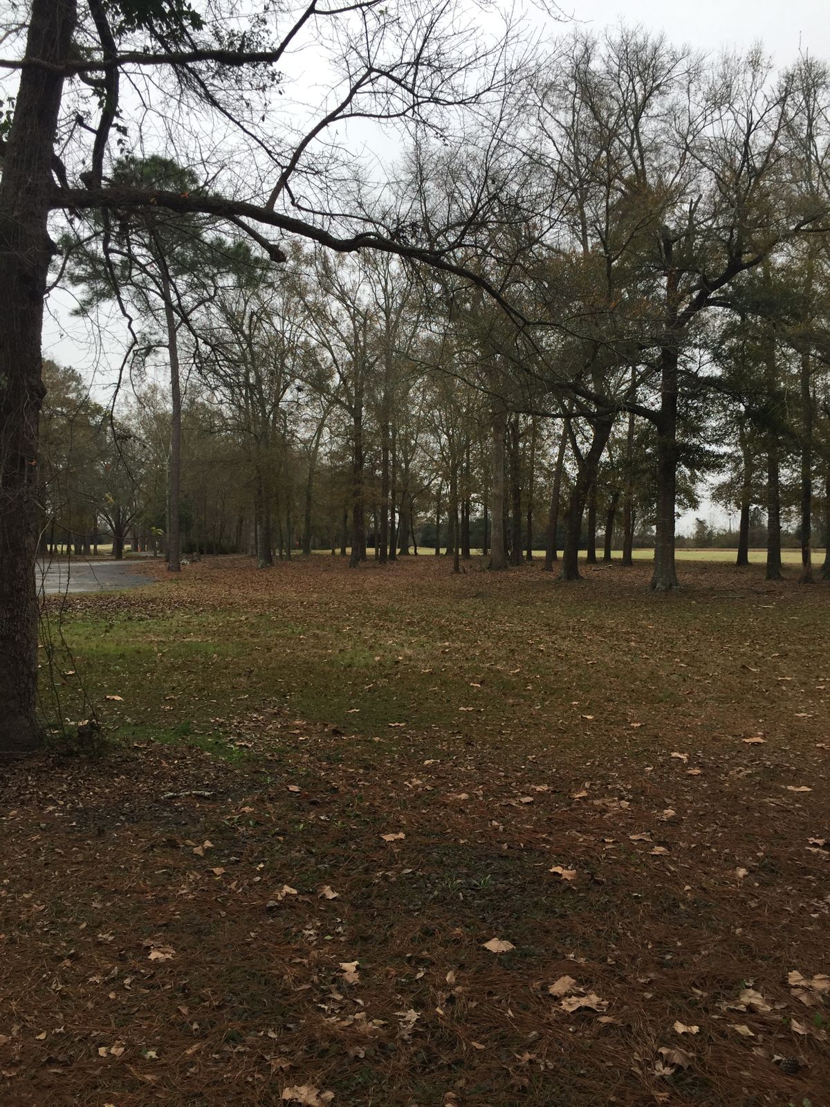 Hole 14