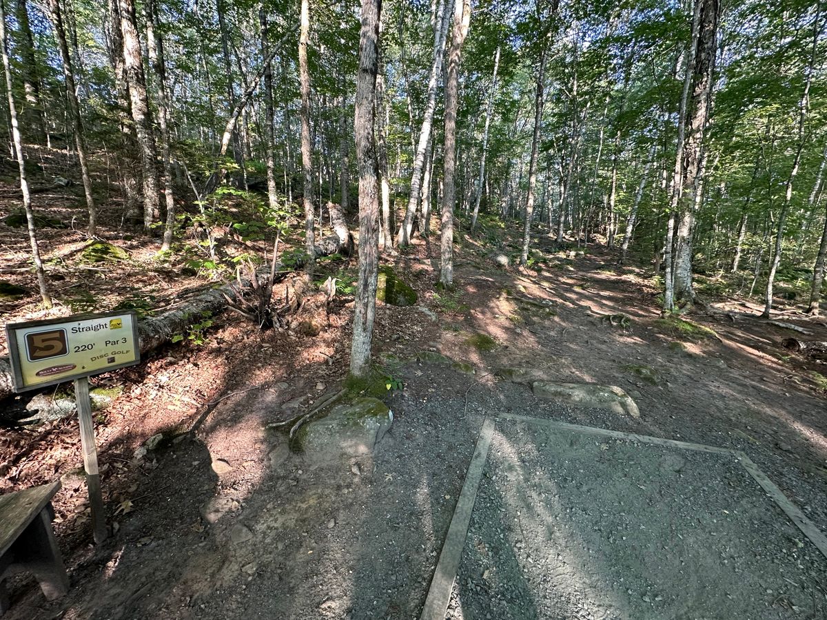 Tee pad 5
