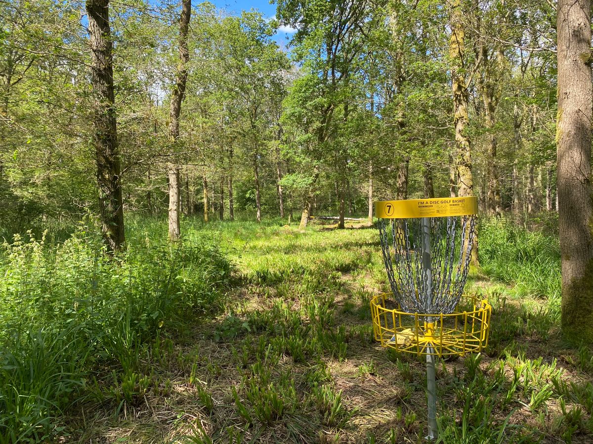 Hole 7 Basket - looking back up the fairway