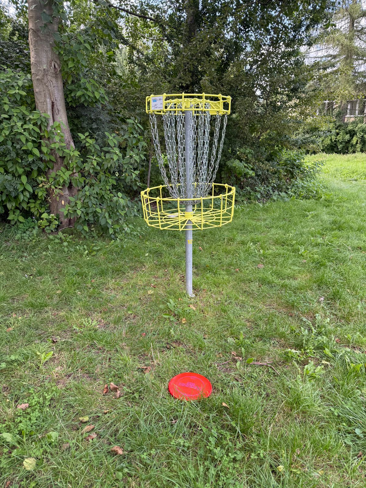 Drive on 10