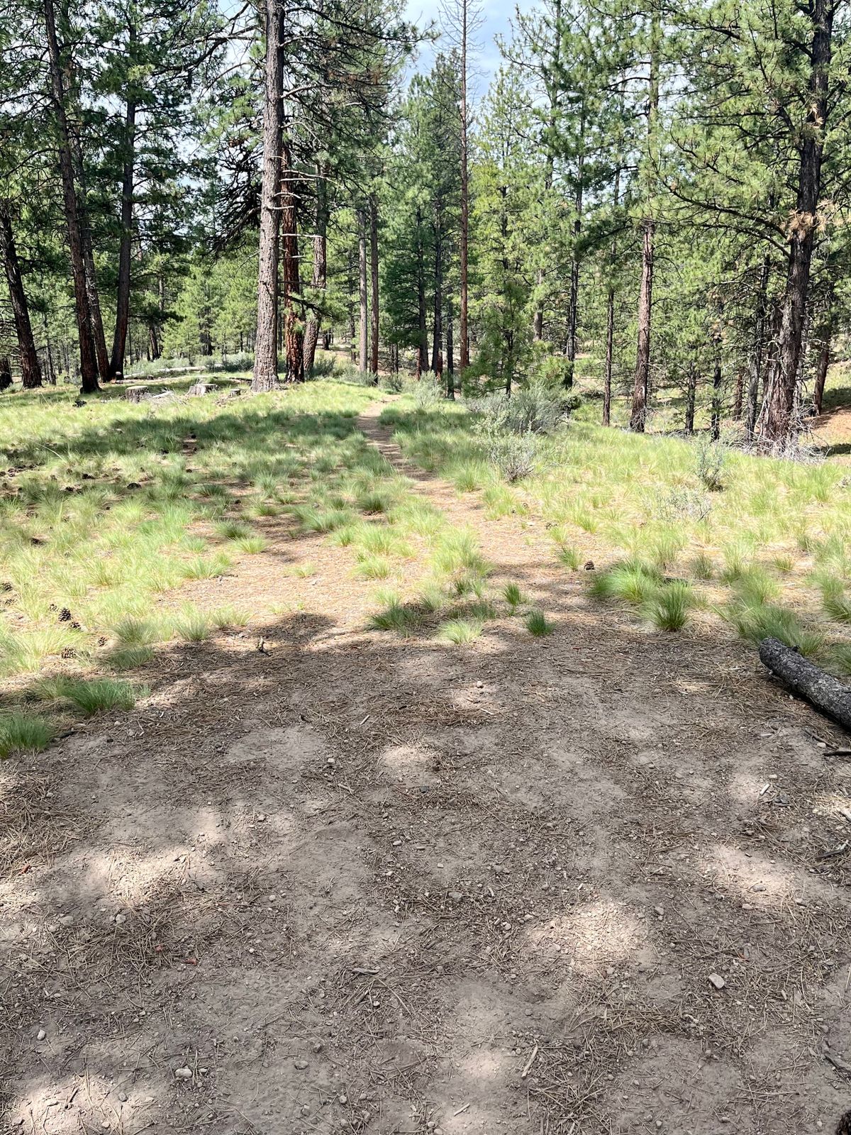 Tee pad for hole 10