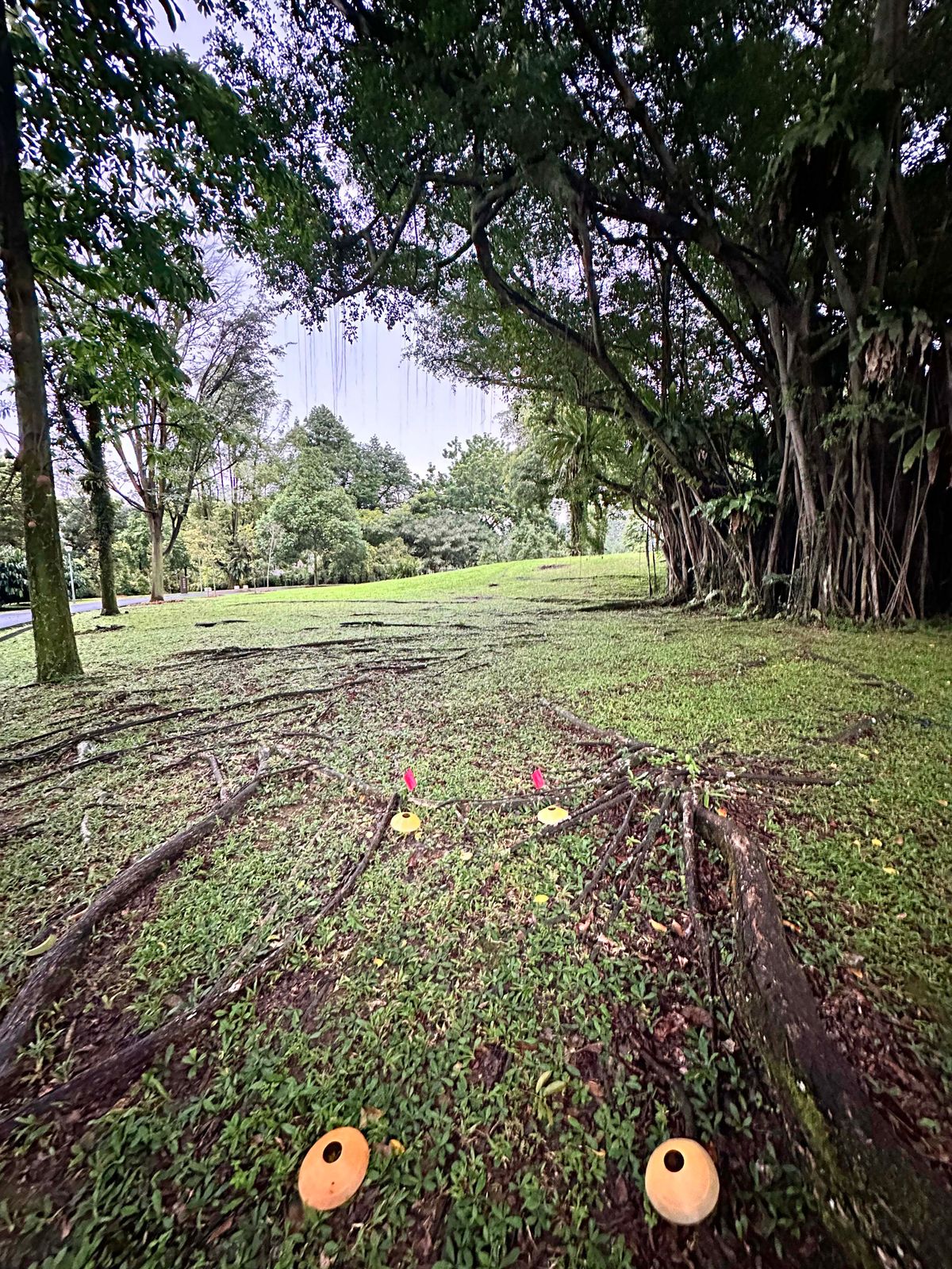 Hole 11 Teepad