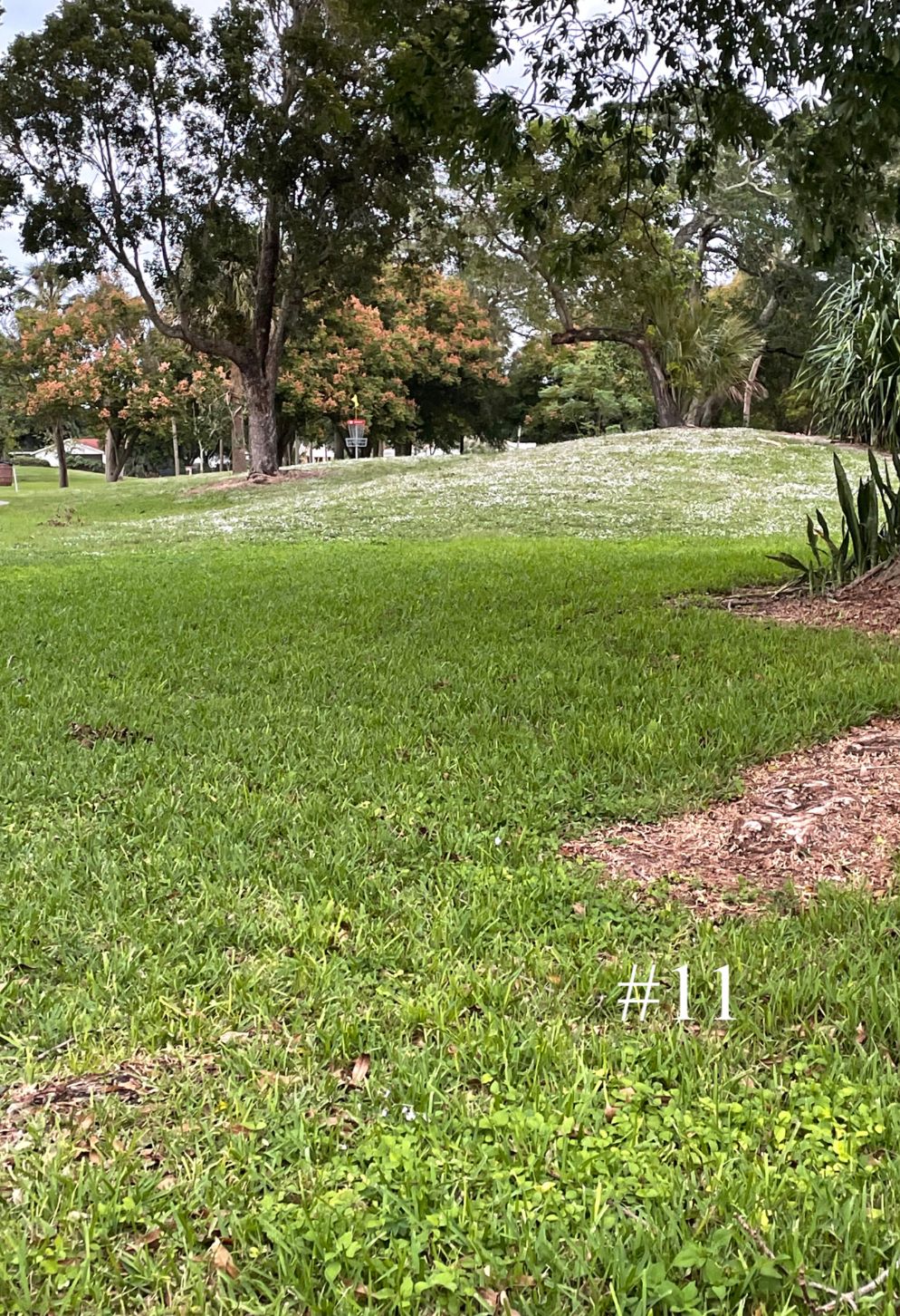 Hole 11, Short Tee