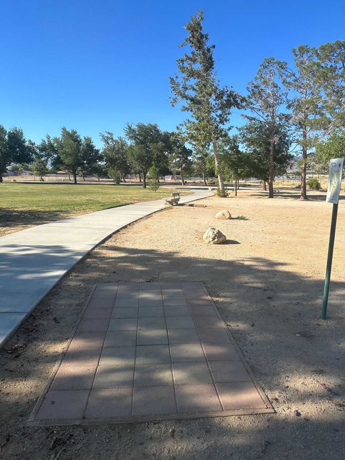 Hole 7 Tee Box (Crease Island)